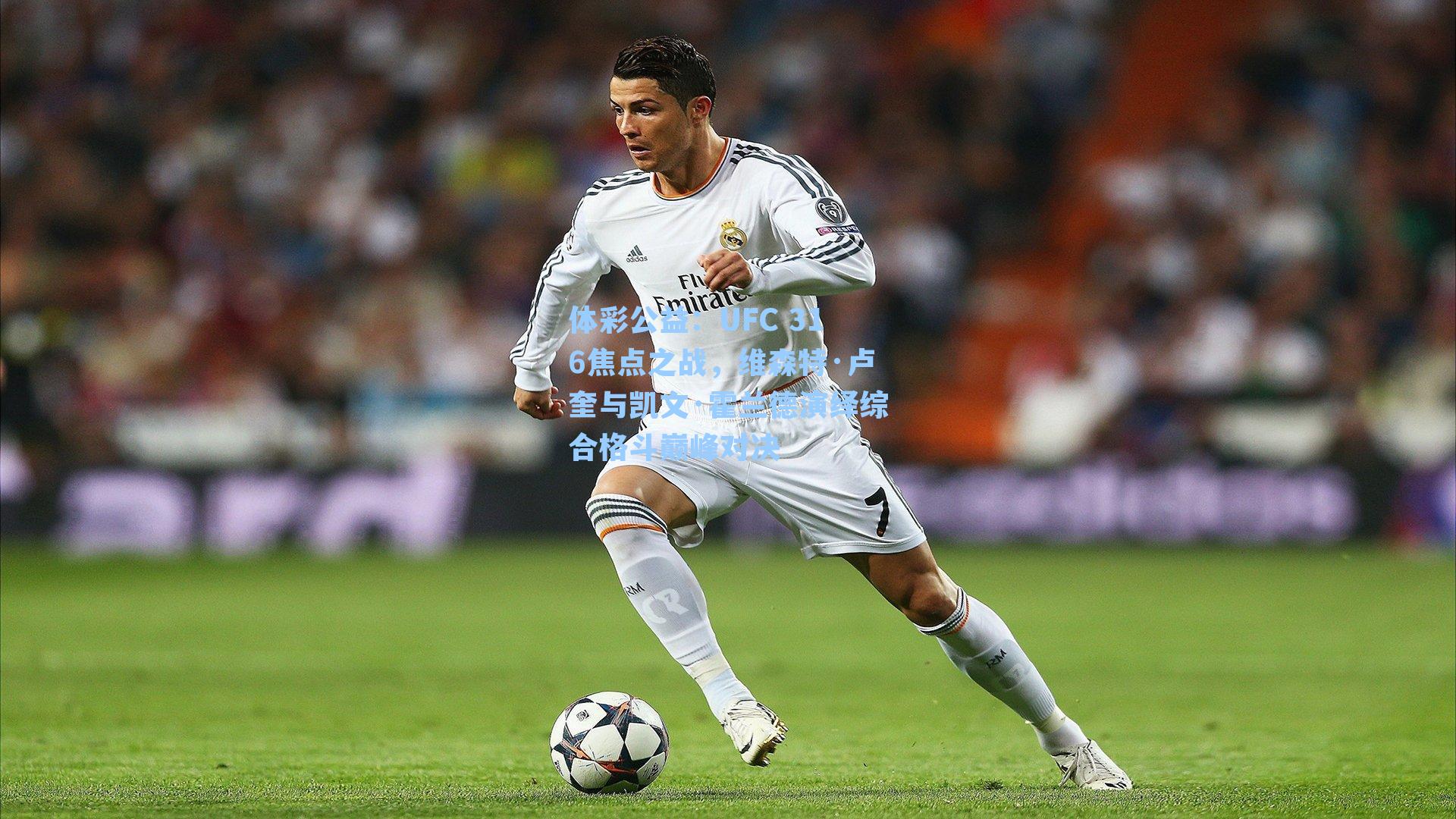 UFC 316焦点之战，维森特·卢奎与凯文·霍兰德演绎综合格斗巅峰对决