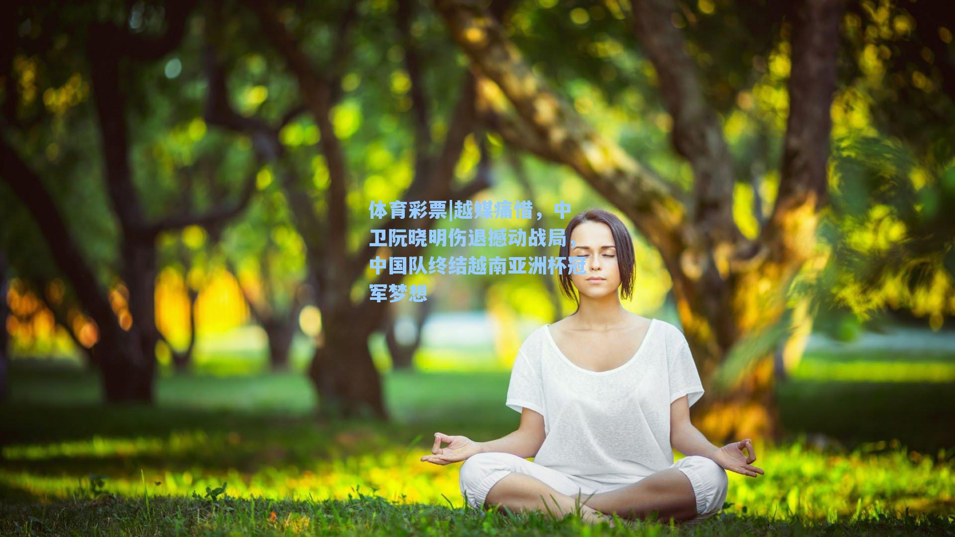 体育彩票|越媒痛惜，中卫阮晓明伤退撼动战局，中国队终结越南亚洲杯冠军梦想