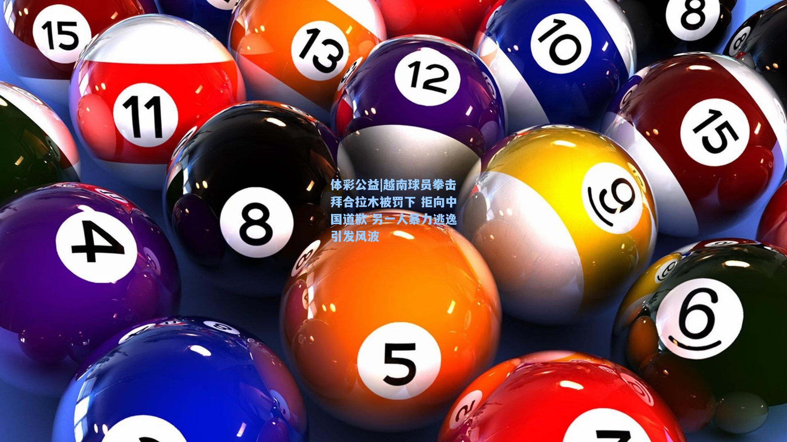 越南球员拳击拜合拉木被罚下 拒向中国道歉 另一人暴力逃逸引发风波