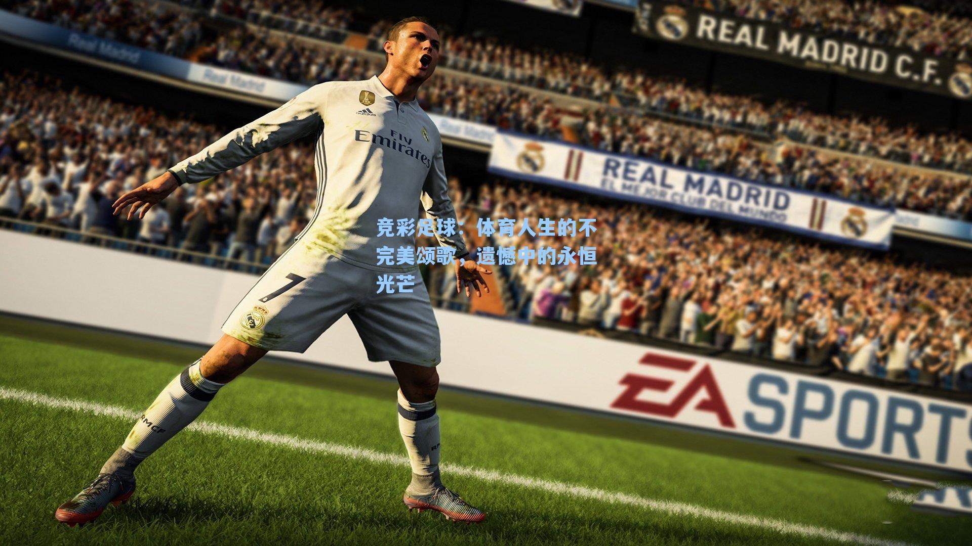 竞彩足球：体育人生的不完美颂歌，遗憾中的永恒光芒